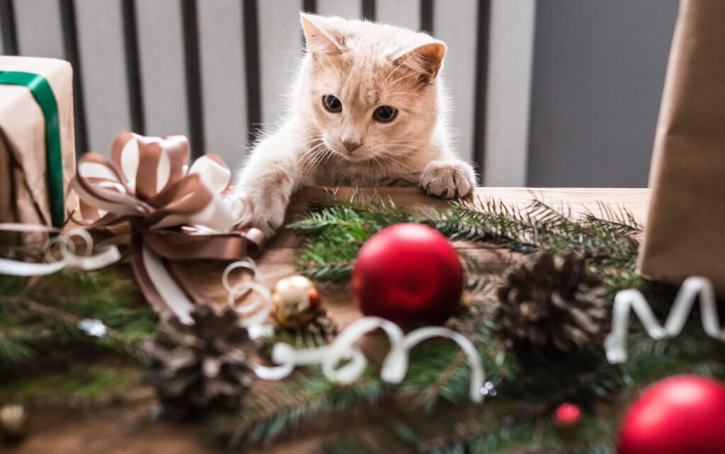 A Happy Holiday ‘How-To’ With Pets