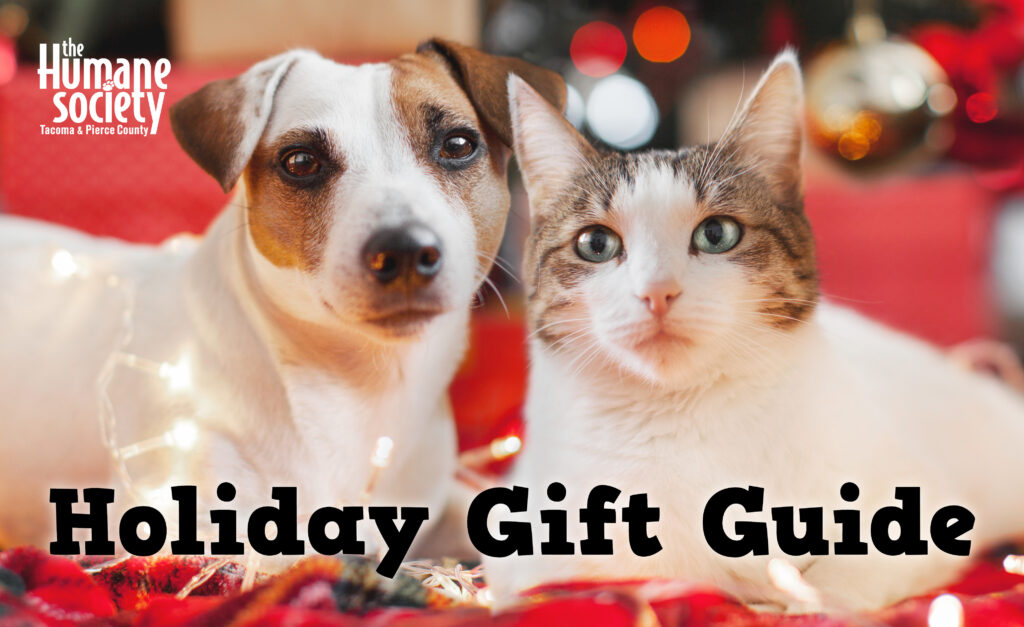 Holiday Gift Guide for the Pets